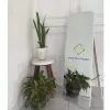 Standing mirror curve HPL aestethic ukuran 40 x 153 cm Thumbnail 5